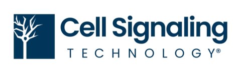 cst logo blue rgb