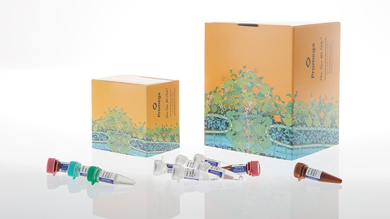 dc8020 versaplex 31p system