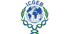 icgeb