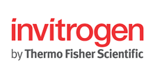 invitrogen